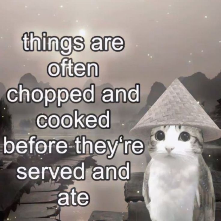 chopped,cooked/served,ate