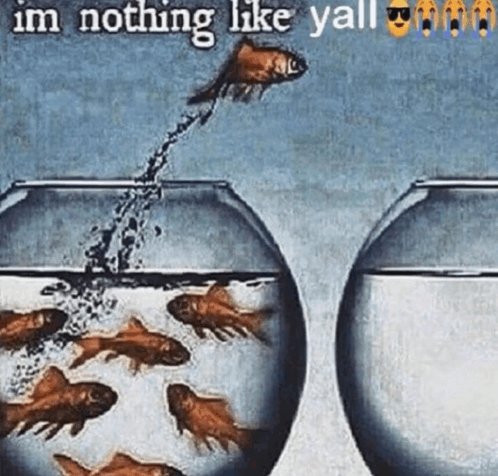 i'm nothing like yall